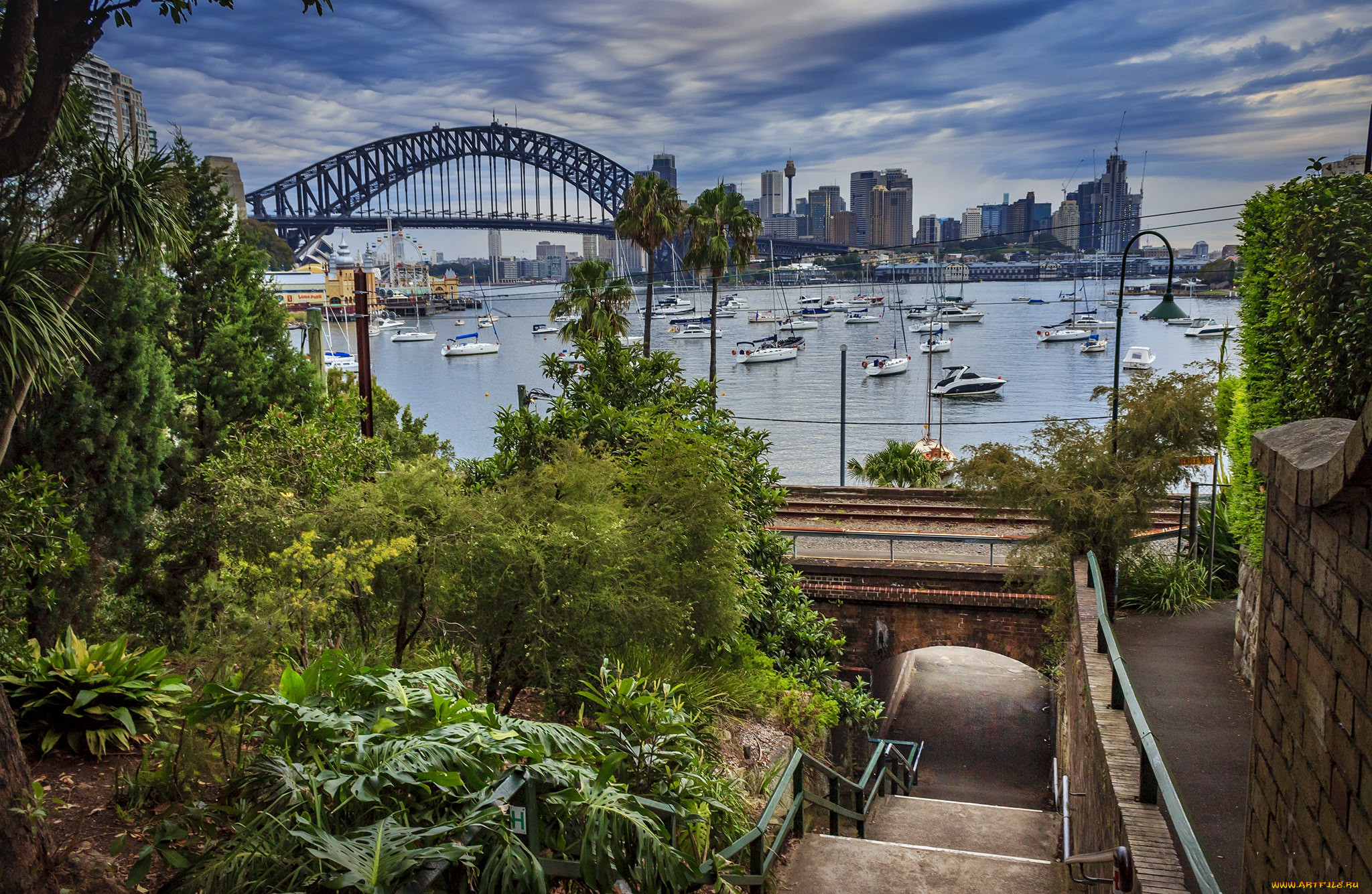 lavender bay, ,  ,  , , 